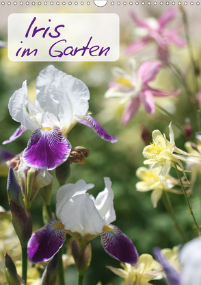 Iris im Garten (Wandkalender 2021 DIN A3 hoch) von Kruse,  Gisela