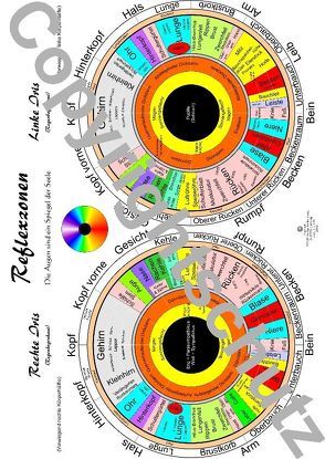 Irisdiagnosekarte – A3 von Aeckersberg,  Tanja