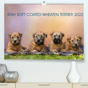 IRISH SOFT COATED WHEATEN TERRIER 2022 (Premium, hochwertiger DIN A2 Wandkalender 2022, Kunstdruck in Hochglanz) von Mirsberger www.tierpfoto.de,  Annett