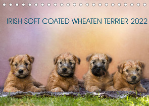 IRISH SOFT COATED WHEATEN TERRIER 2022 (Tischkalender 2022 DIN A5 quer) von Mirsberger www.tierpfoto.de,  Annett