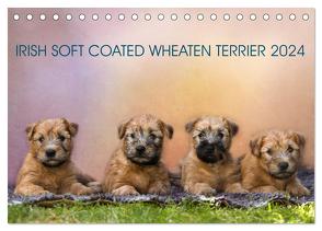 IRISH SOFT COATED WHEATEN TERRIER 2024 (Tischkalender 2024 DIN A5 quer), CALVENDO Monatskalender von Mirsberger www.tierpfoto.de,  Annett