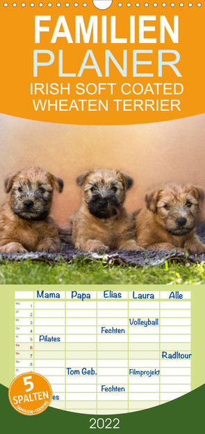 Familienplaner IRISH SOFT COATED WHEATEN TERRIER (Wandkalender 2022 , 21 cm x 45 cm, hoch) von Mirsberger www.tierpfoto.de,  Annett