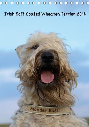 Irish Soft Coated Wheaten Terrier Kalender 2018 (Tischkalender 2018 DIN A5 hoch) von Eitzenberger,  Anja