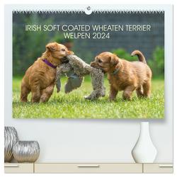 IRISH SOFT COATED WHEATEN TERRIER WELPEN 2024 (hochwertiger Premium Wandkalender 2024 DIN A2 quer), Kunstdruck in Hochglanz von Mirsberger,  Annett