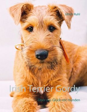 Irish Terrier Gordy von Ruhl,  Ulrich