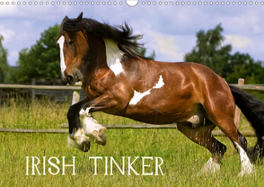 Irish Tinker (Wandkalender 2021 DIN A3 quer) von Wejat-Zaretzke,  Gabriela