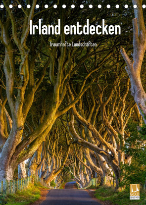 Irland entdecken (Tischkalender 2022 DIN A5 hoch) von Ringer,  Christian