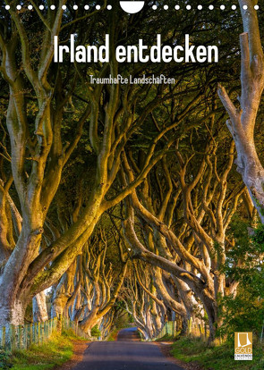 Irland entdecken (Wandkalender 2022 DIN A4 hoch) von Ringer,  Christian