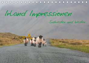 Irland Impressionen Südwesten und Westen (Tischkalender 2021 DIN A5 quer) von Härting,  Falk