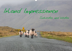 Irland Impressionen Südwesten und Westen (Wandkalender 2022 DIN A2 quer) von Härting,  Falk