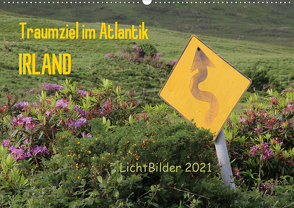 IRLAND Traumziel im Atlantik (Wandkalender 2021 DIN A2 quer) von Weber,  Frank