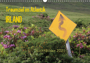 IRLAND Traumziel im Atlantik (Wandkalender 2021 DIN A3 quer) von Weber,  Frank