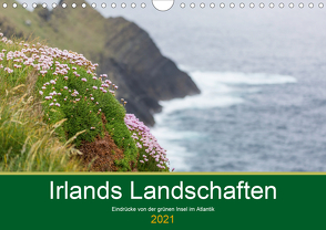 Irlands Landschaften (Wandkalender 2021 DIN A4 quer) von Möller,  Werner