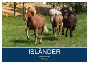 Isländer – icelandic horses (Wandkalender 2024 DIN A3 quer), CALVENDO Monatskalender von Hollstein,  Alexandra