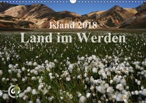 Island 2018 – Land im Werden (Wandkalender 2018 DIN A3 quer) von Thom@sPhotography