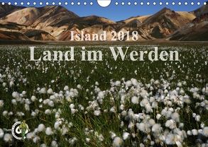 Island 2018 – Land im Werden (Wandkalender 2018 DIN A4 quer) von Thom@sPhotography