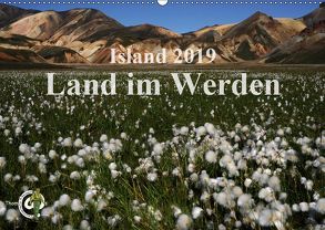 Island 2019 – Land im Werden (Wandkalender 2019 DIN A2 quer) von Thom@sPhotography