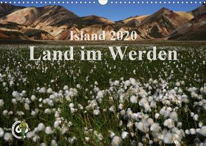 Island 2020 – Land im Werden (Wandkalender 2020 DIN A3 quer) von Thom@sPhotography