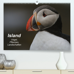 Island: Vögel, Pflanzen, Landschaften (Premium, hochwertiger DIN A2 Wandkalender 2021, Kunstdruck in Hochglanz) von Uppena,  Leon