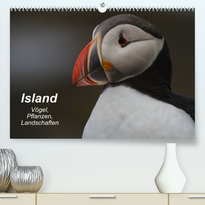 Island: Vögel, Pflanzen, Landschaften (Premium, hochwertiger DIN A2 Wandkalender 2022, Kunstdruck in Hochglanz) von Uppena,  Leon