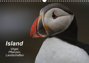 Island: Vögel, Pflanzen, Landschaften (Wandkalender 2022 DIN A3 quer) von Uppena,  Leon