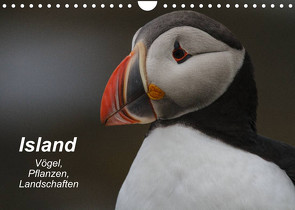 Island: Vögel, Pflanzen, Landschaften (Wandkalender 2022 DIN A4 quer) von Uppena,  Leon