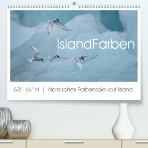 IslandFarben. 63°- 66°N Nordisches Farbenspiel auf Island (Premium, hochwertiger DIN A2 Wandkalender 2021, Kunstdruck in Hochglanz) von van der Wiel,  Irma