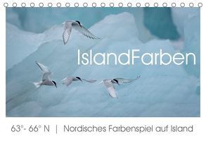 IslandFarben. 63°- 66°N Nordisches Farbenspiel auf Island (Tischkalender 2019 DIN A5 quer) von van der Wiel,  Irma