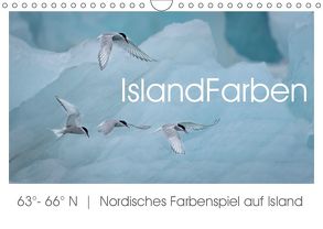 IslandFarben. 63°- 66°N Nordisches Farbenspiel auf Island (Wandkalender 2019 DIN A4 quer) von van der Wiel,  Irma