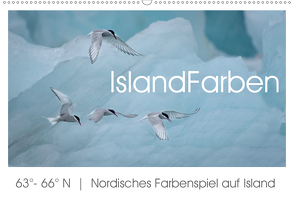 IslandFarben. 63°- 66°N Nordisches Farbenspiel auf Island (Wandkalender 2020 DIN A2 quer) von van der Wiel,  Irma