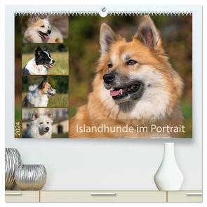 Islandhunde im Portrait (hochwertiger Premium Wandkalender 2024 DIN A2 quer), Kunstdruck in Hochglanz von Scheurer,  Monika