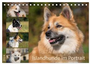 Islandhunde im Portrait (Tischkalender 2024 DIN A5 quer), CALVENDO Monatskalender von Scheurer,  Monika