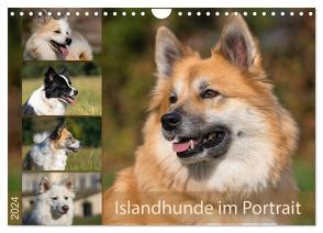 Islandhunde im Portrait (Wandkalender 2024 DIN A4 quer), CALVENDO Monatskalender von Scheurer,  Monika