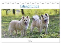 Islandhunde (Tischkalender 2024 DIN A5 quer), CALVENDO Monatskalender von Neusinger-Wenst,  Tonja