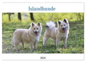 Islandhunde (Wandkalender 2024 DIN A2 quer), CALVENDO Monatskalender von Neusinger-Wenst,  Tonja