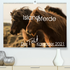 Islandpferde – Der Tölt Kalender (Premium, hochwertiger DIN A2 Wandkalender 2021, Kunstdruck in Hochglanz) von van der Wiel www.kalender-atelier.de,  Irma