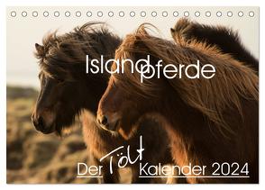 Islandpferde – Der Tölt Kalender (Tischkalender 2024 DIN A5 quer), CALVENDO Monatskalender von van der Wiel www.kalender-atelier.de,  Irma