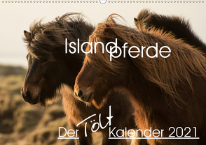 Islandpferde – Der Tölt Kalender (Wandkalender 2021 DIN A2 quer) von van der Wiel www.kalender-atelier.de,  Irma