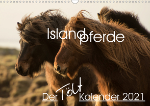 Islandpferde – Der Tölt Kalender (Wandkalender 2021 DIN A3 quer) von van der Wiel www.kalender-atelier.de,  Irma