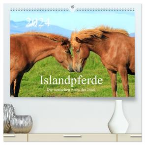 Islandpferde – Die tierischen Stars der Insel (hochwertiger Premium Wandkalender 2024 DIN A2 quer), Kunstdruck in Hochglanz von Grosskopf,  Rainer