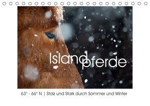 Islandpferde – Stolz und Stark durch Sommer und Winter (Tischkalender 2019 DIN A5 quer) von van der Wiel,  Irma