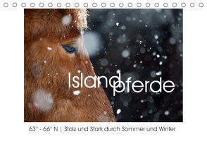 Islandpferde – Stolz und Stark durch Sommer und Winter (Tischkalender 2020 DIN A5 quer) von van der Wiel,  Irma