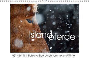 Islandpferde – Stolz und Stark durch Sommer und Winter (Wandkalender 2019 DIN A3 quer) von van der Wiel,  Irma