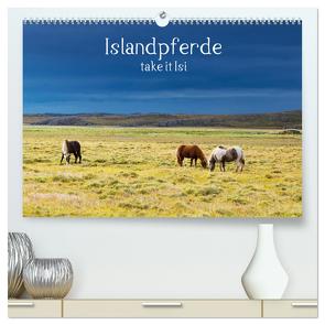 Islandpferde take it Isi (hochwertiger Premium Wandkalender 2024 DIN A2 quer), Kunstdruck in Hochglanz von Gerken,  Klaus