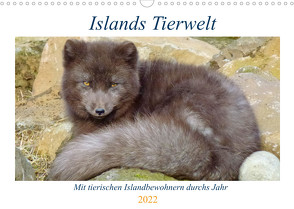 Islands Tierwelt – Mit tierischen Inselbewohnern durchs Jahr (Wandkalender 2022 DIN A3 quer) von Dehnhardt,  Patrick