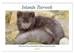 Islands Tierwelt – Mit tierischen Inselbewohnern durchs Jahr (Wandkalender 2024 DIN A4 quer), CALVENDO Monatskalender von Dehnhardt,  Patrick