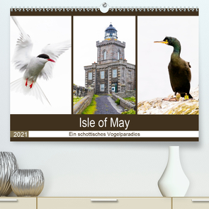 Isle of May – Ein schottisches Vogelparadies (Premium, hochwertiger DIN A2 Wandkalender 2021, Kunstdruck in Hochglanz) von Webeler,  Janita