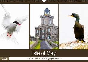 Isle of May – Ein schottisches Vogelparadies (Wandkalender 2021 DIN A3 quer) von Webeler,  Janita