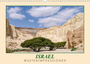 ISRAEL Wüstenimpressionen (Wandkalender 2020 DIN A3 quer) von Meißner,  Daniel