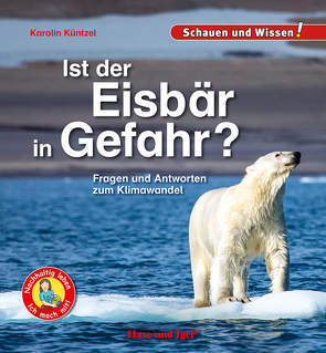 Ist der Eisbär in Gefahr? von Küntzel ,  Karolin